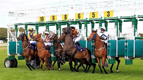 brighton horse racing tips|Brighton Betting Odds & Tips .